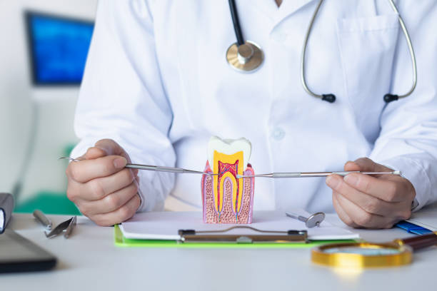 Best Emergency Dental Care for Abscessed Tooth in Pine Grove Mills, PA